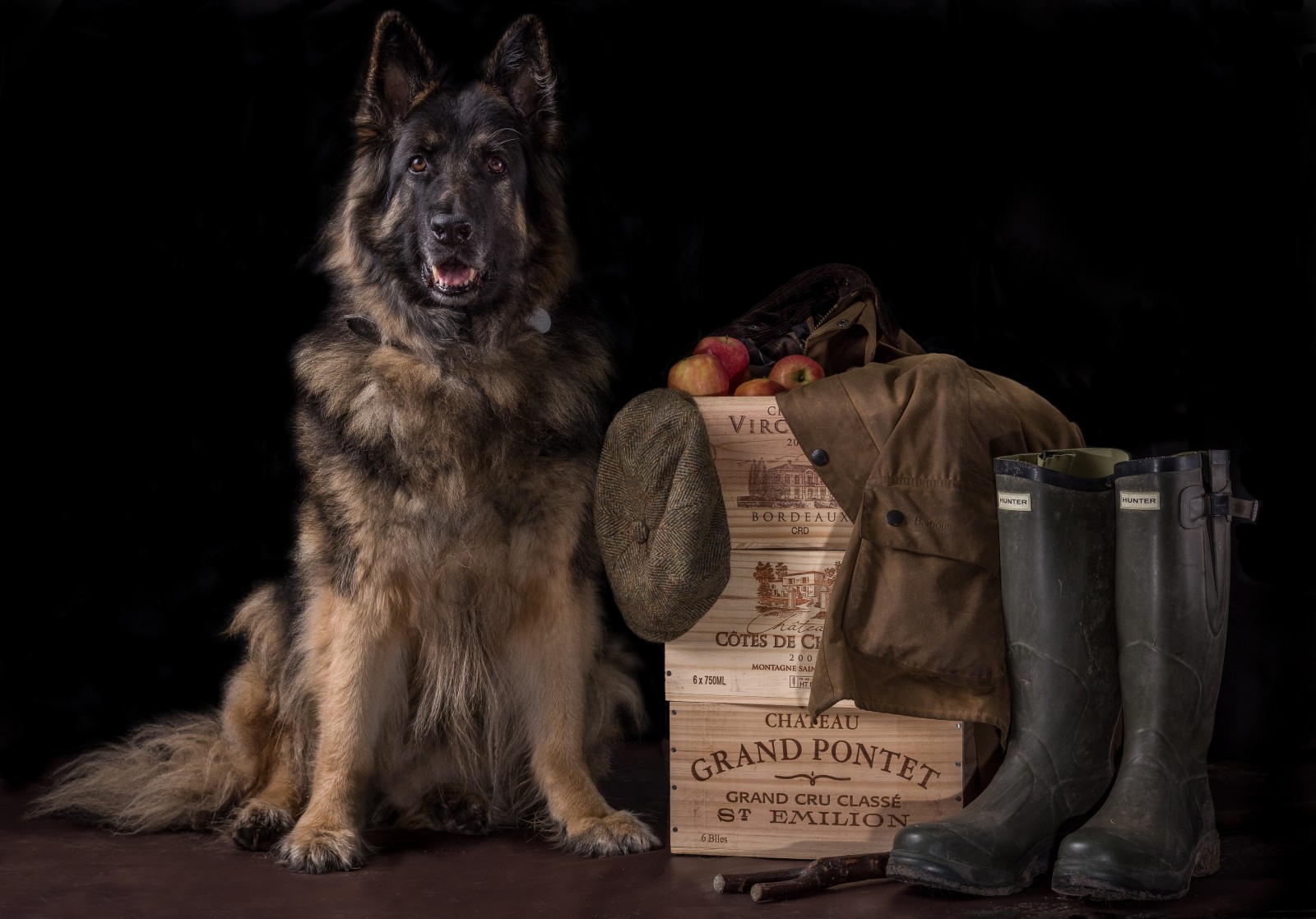 bakgrunn, hund, støvler, lokk, hyrde, esker