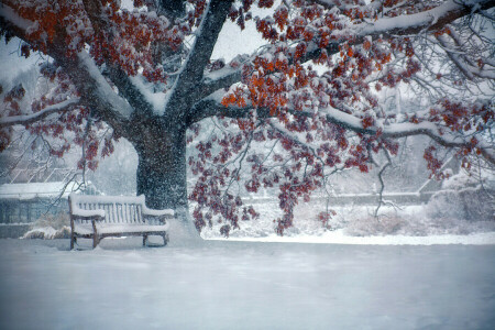 bench, snowfall, street, winter