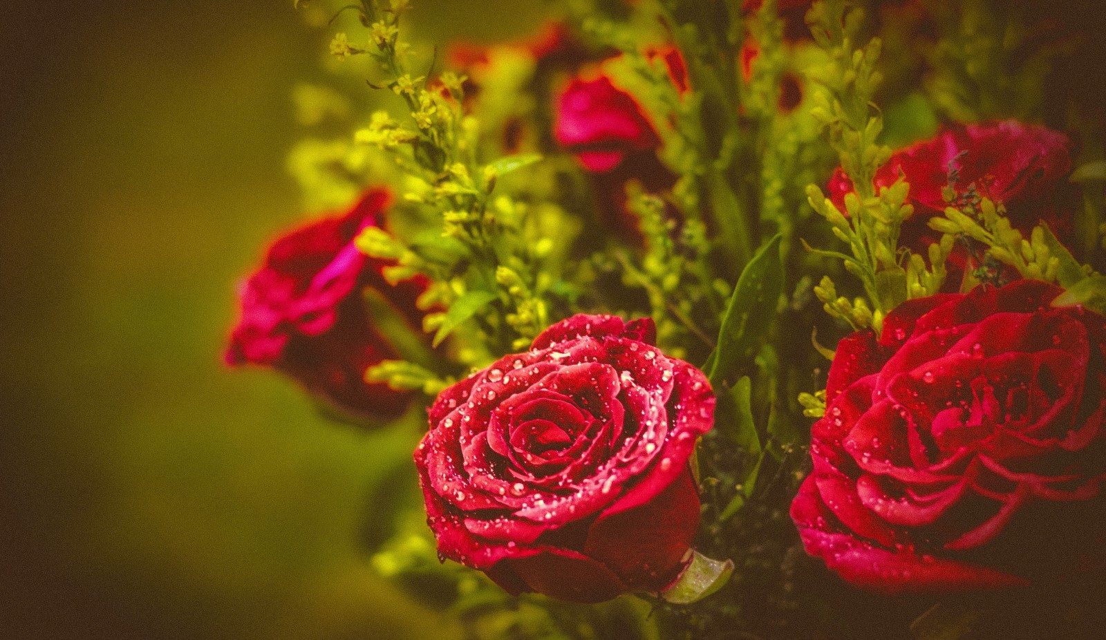 roses, bouquet, drops, buds