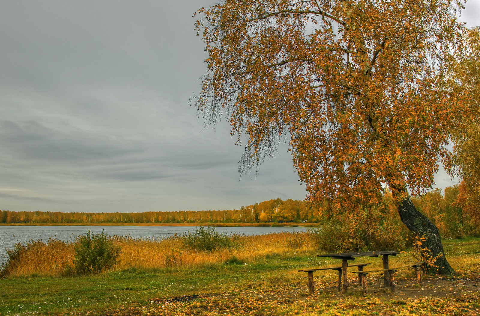 осень, трава, река, берег, стол, уходит, Скамейки, береза