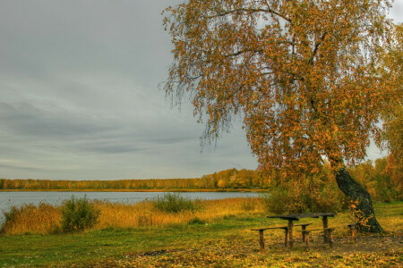 осень, Скамейки, береза, трава, уходит, река, берег, стол