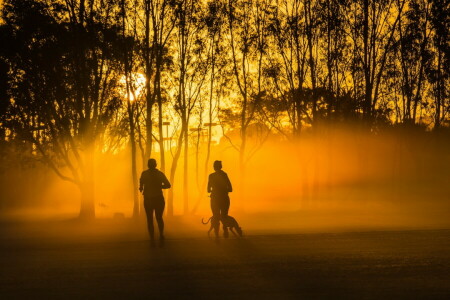 dimma, morgon-, Parkera, springa, staden