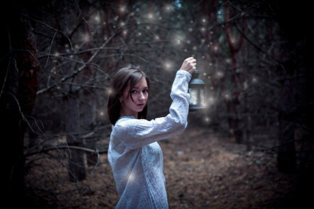 brown hair, Fabulous, forest, lamp, lantern, look