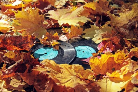 otoño, hojas, registros, vinilo