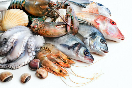 pesce, Polpo, Omar, frutti di mare, gamberetto