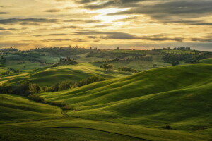 biens, champ, collines, Italie, Toscane, Val d'Orcia