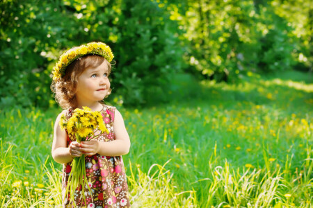 niño, DANDELONES, flores, césped, niñita, verano