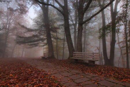 l'automne, banc, parc