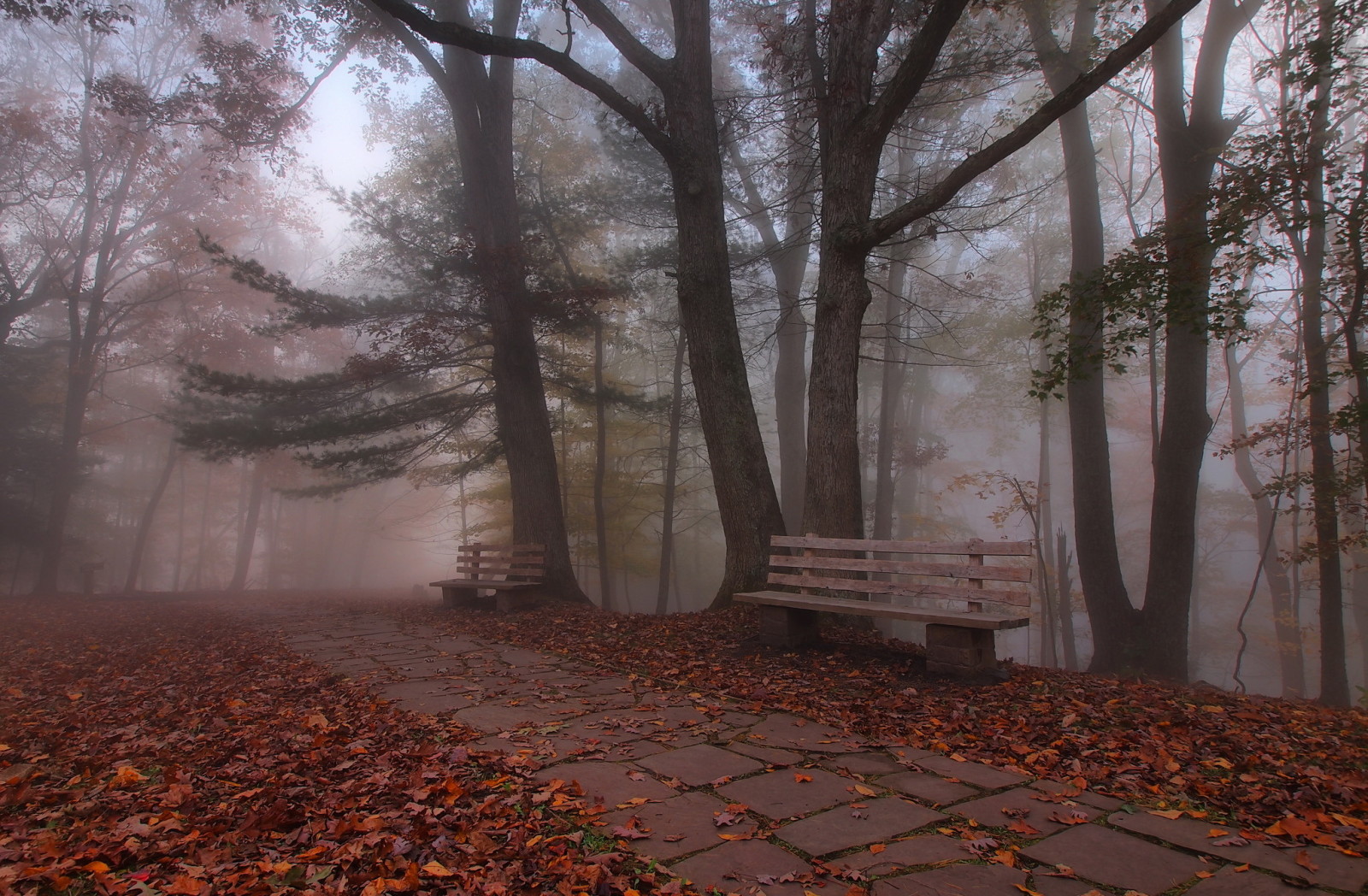 Herbst, Park, Bank