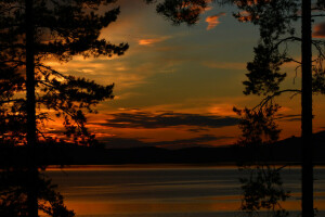 río, apuntalar, siluetas, puesta de sol, arboles