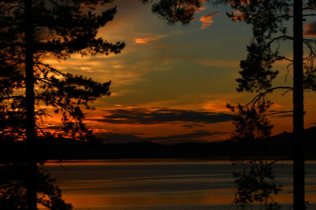 rivier-, kust, silhouetten, zonsondergang, bomen