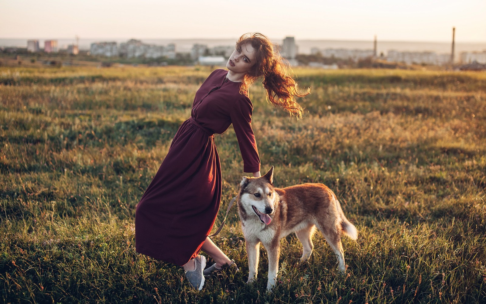 pose, chien, fille, Prairie, robe, Rome Rome