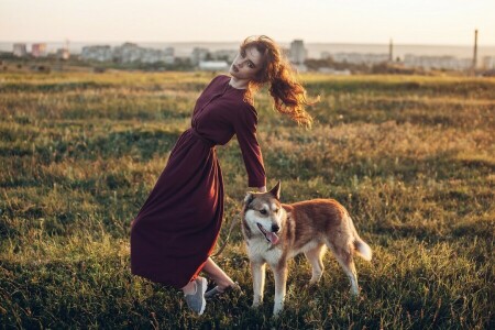 dog, dress, girl, meadow, pose, Rome Rome