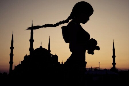 girl, hair, Lara Croft, pigtail, profile, shadow, sunset, the sky