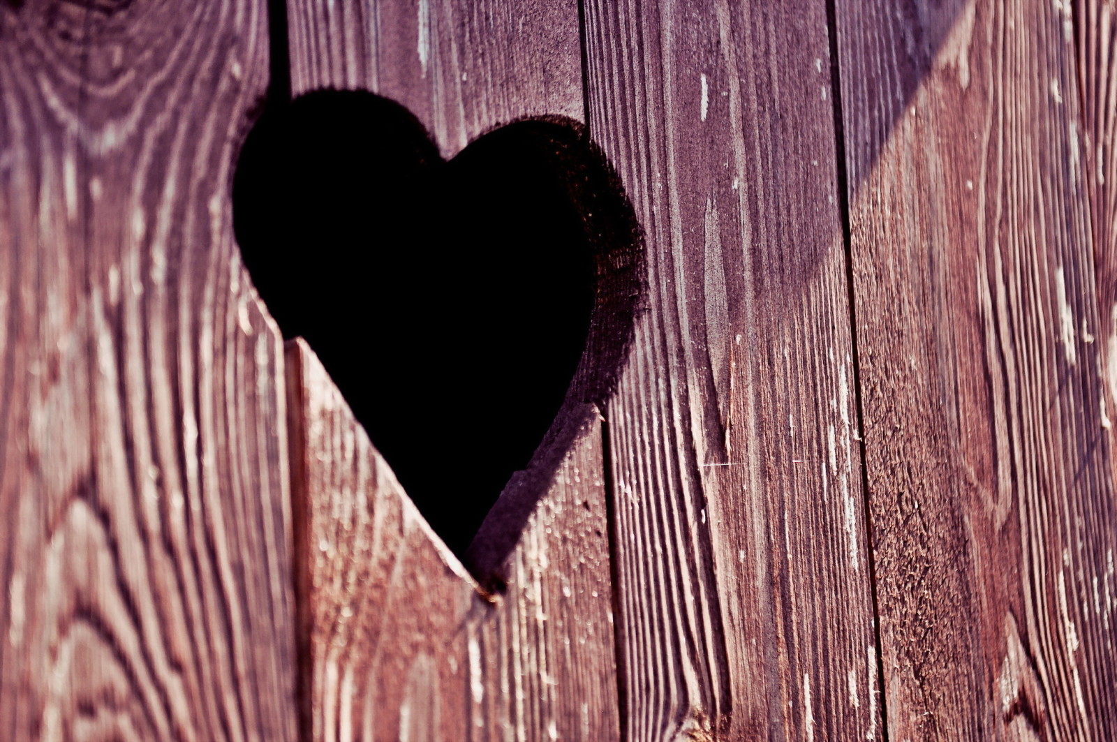 macro, heart, the door