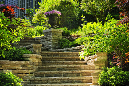 flowers, Garden, greens, house, ladder, steps, the bushes