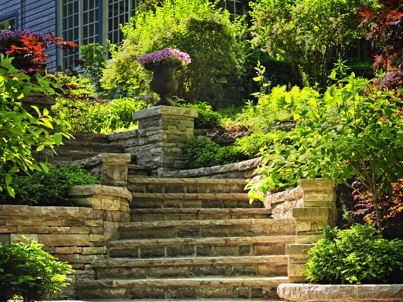 house, greens, flowers, ladder, Garden, the bushes, steps