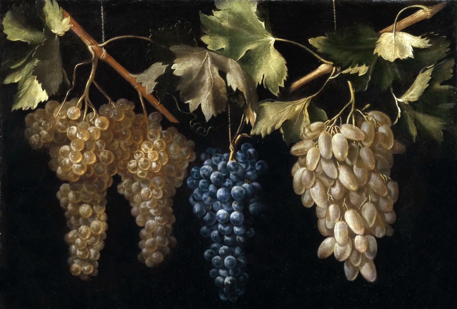 Nature morte, image, Quatre grappes de raisins, Juan Fernandez, El Labrador