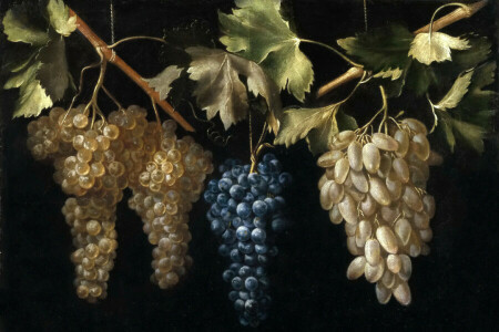 El Labrador, Four Bunches Of Grapes, Juan Fernandez, picture, Still life