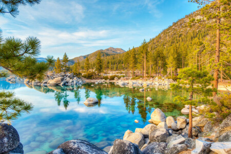 branches, forêt, Lac, Lake Tahoe, montagnes, réflexion, des pierres, des arbres