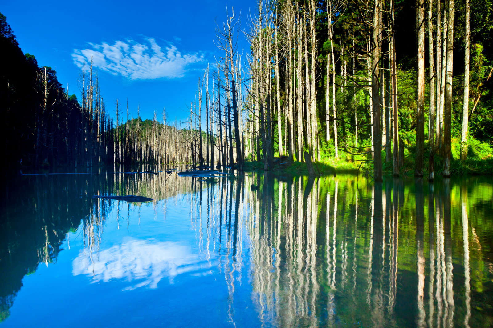 the sky, lake, reflection, trees, mountains