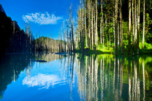 lake, mountains, reflection, the sky, trees