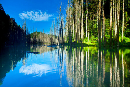 lago, montañas, reflexión, el cielo, arboles