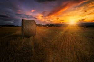 field, hay, summer, sunset