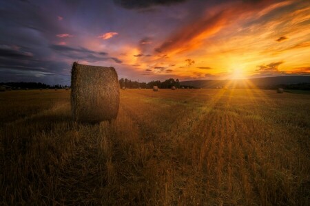 felt, høy, sommer, solnedgang