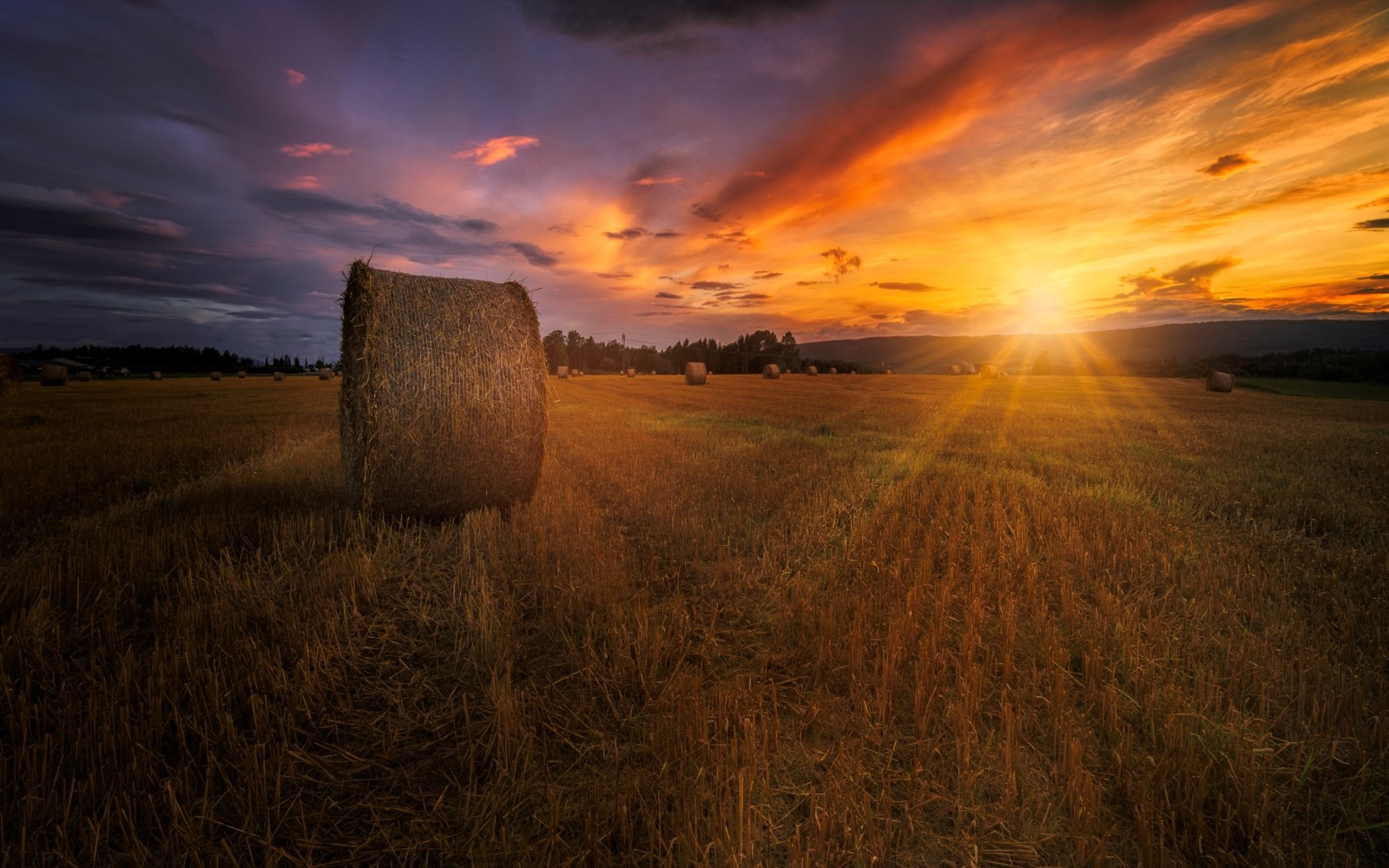 zomer, zonsondergang, veld-, hooi