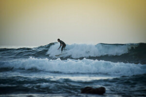 solnedgång, surfingbräda, surfare, surfing, Vinka