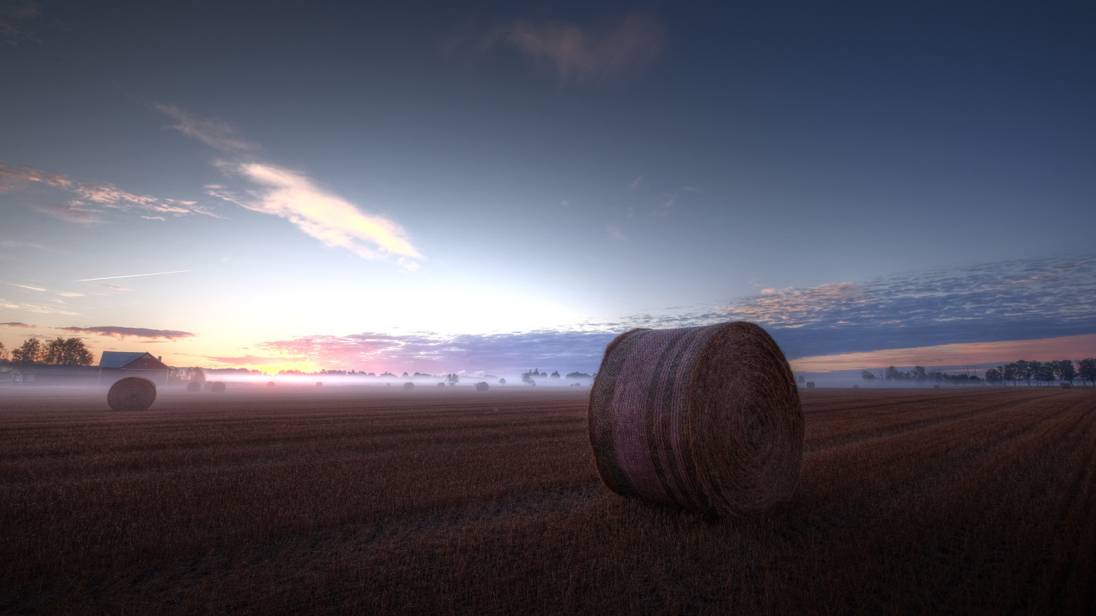 field, morning, fog, hay