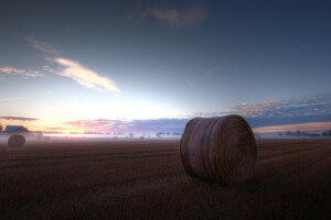 field, fog, hay, morning