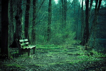 banc, la nature, parc