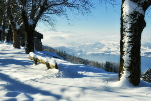 Bank, Schnee, Winter