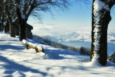 bench, snow, winter