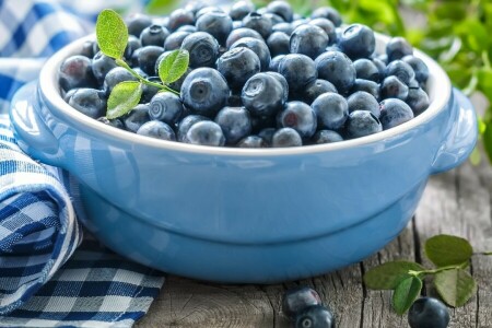 blueberries, bowl, fresh berries, leaves, napkin