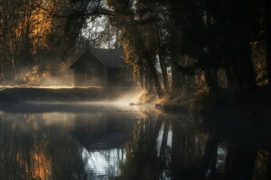 herfst, mist, huis, ochtend-, vijver