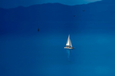 des oiseaux, bateau, mer