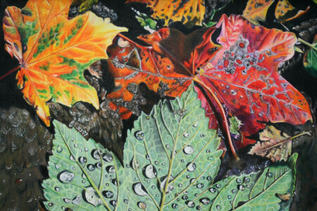 l'automne, gouttes, feuillage, feuilles, La peinture