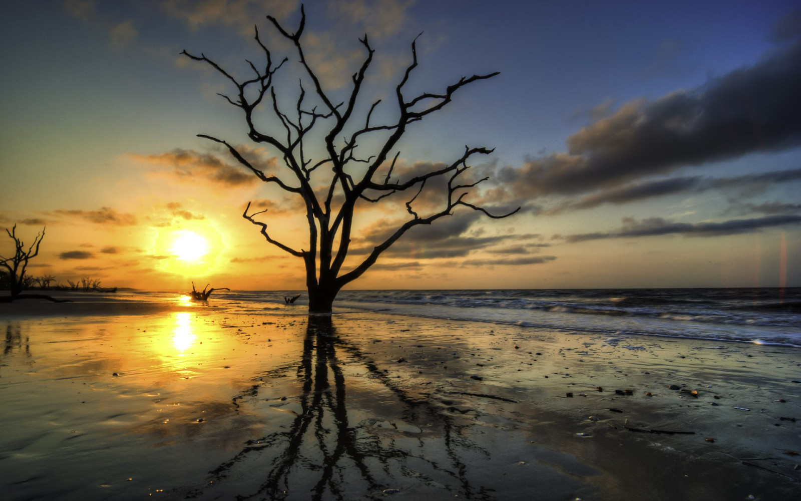 Baum, der Himmel, Sonnenuntergang, Meer, Wolken