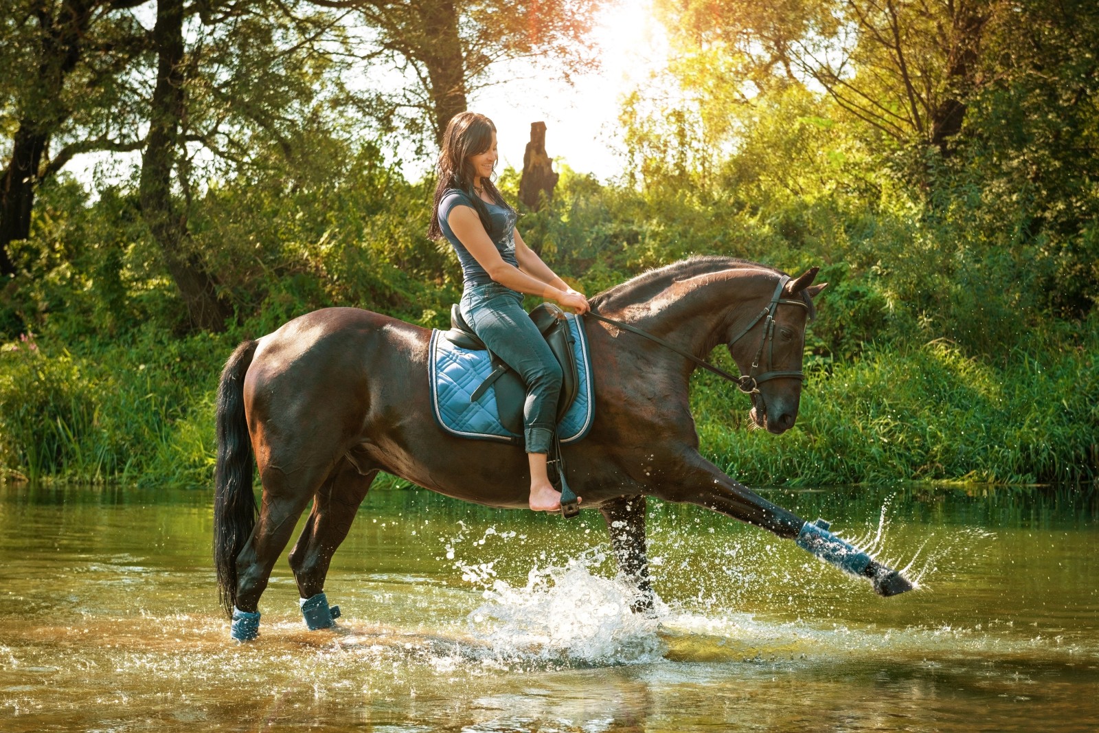 grass, nature, sitting, river, girl, horse, trees, brunette