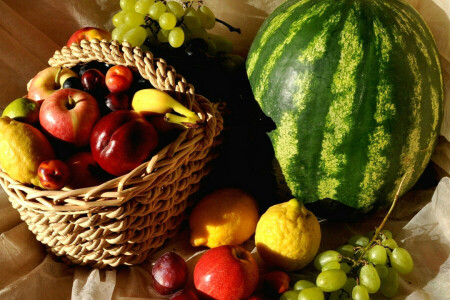 Apfel, Beeren, Obst, Trauben, Zitrone, Wassermelone