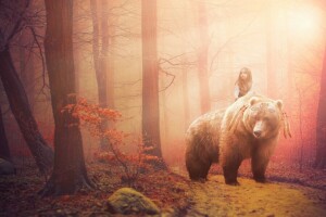 fantasia, foresta, ragazza. orso, la situazione