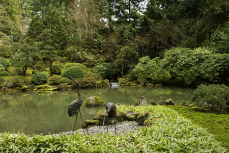 Garten, Grüns, Moos, Oregon, Teich, Portland, Steine, die Büsche