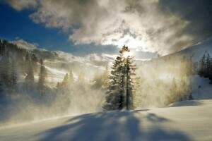 névoa, floresta, montanhas, neve, o sol, árvore, inverno