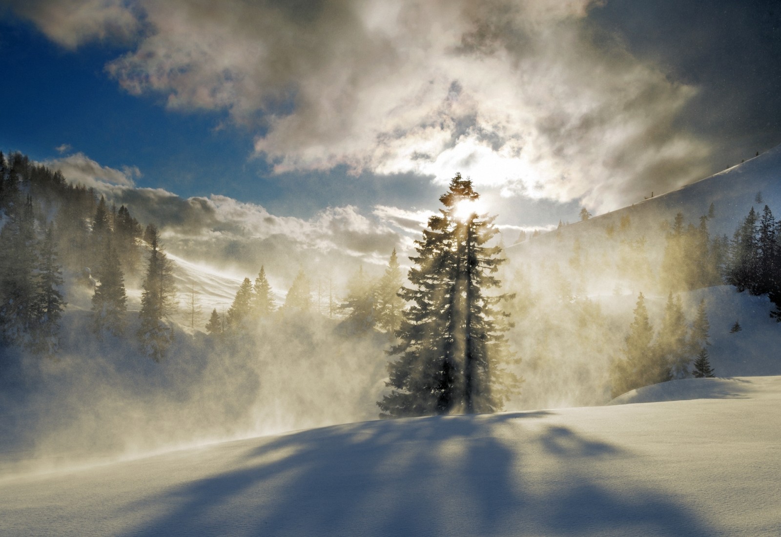 snø, tre, skog, vinter, fjellene, tåke, solen