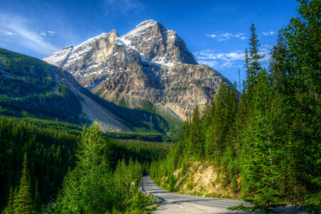 blue, Canada, forest, greens, mountains, road, rocks, the sky