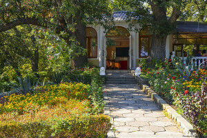 Crimea, diner, flowers, Park, summer, the sidewalk, track, trees