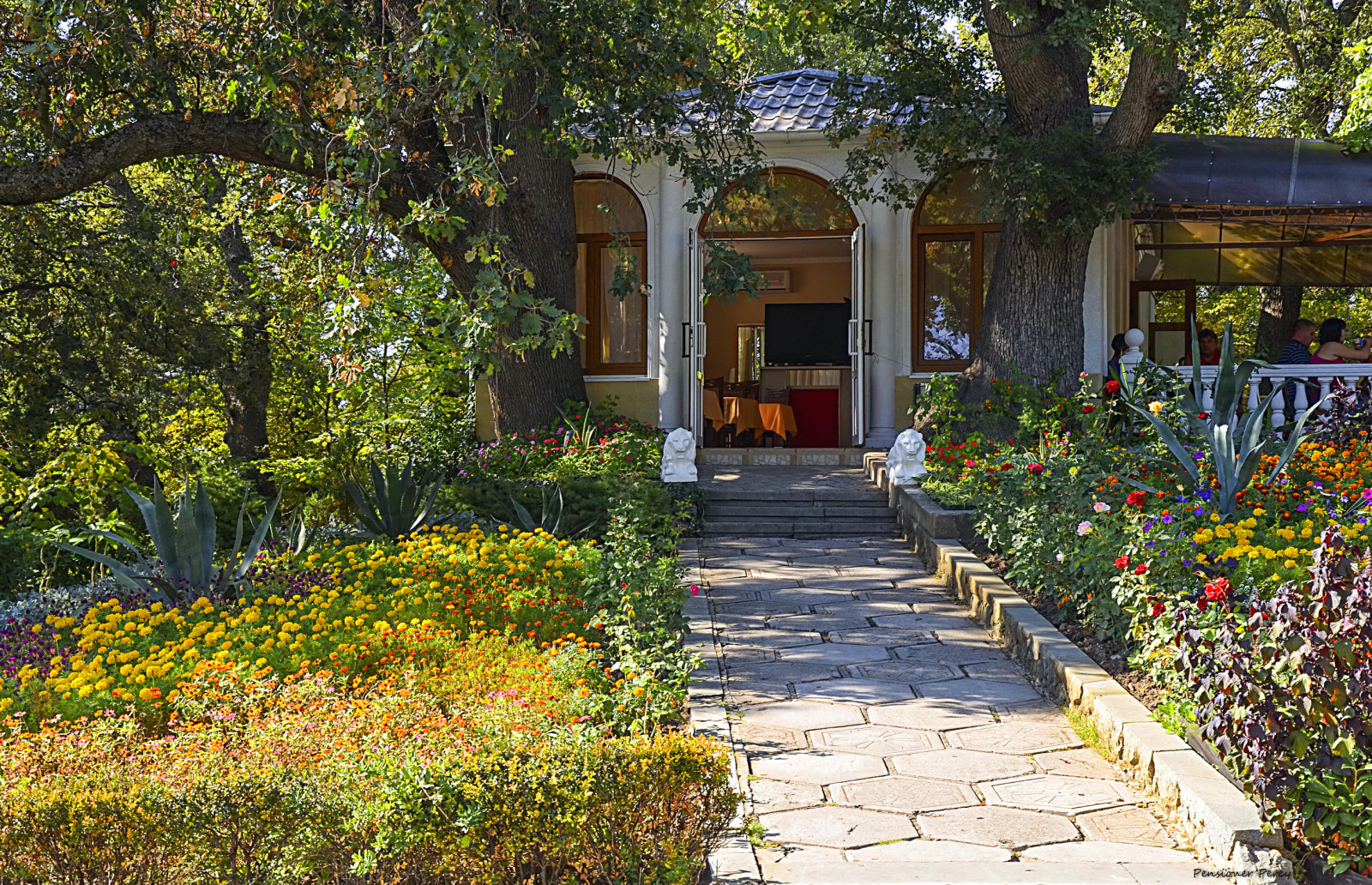 Park, summer, trees, flowers, track, Crimea, diner, the sidewalk